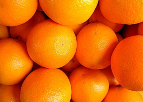 Orangen: Woher sie kommen – wie sie wachsen