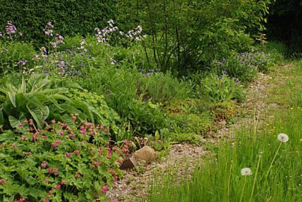 8 Tipps für einen naturnahen Garten