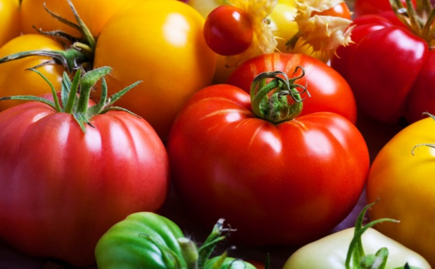 33 Fakten über ... Tomaten